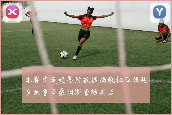 本赛季英超零封数据揭晓拉亚领跑多纳鲁马桑切斯紧随其后