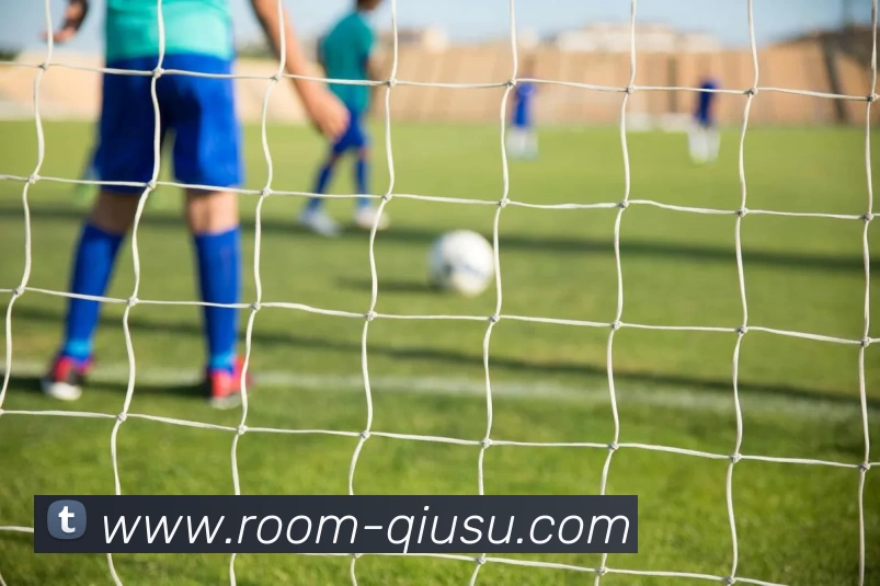 球速体育品牌故事